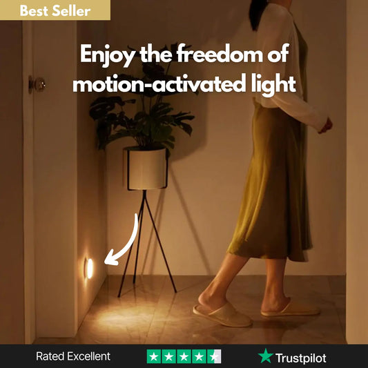 LED Motion Sensor Light